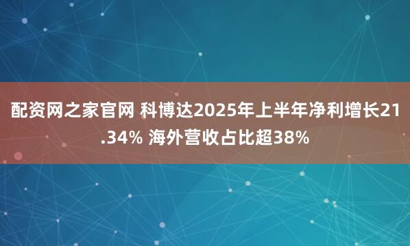 配资网之家官网 科博达2025年上半年净利增长21.34% 海外营收占比超38%